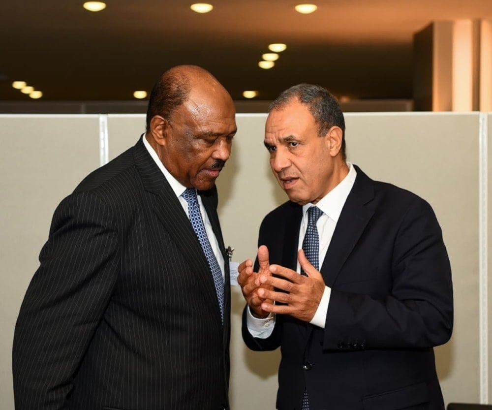 Encuentro entre el ministro de Asuntos Exteriores de Egipto, Badr Abdelatty, y su homólogo de Sudán, Muhyi al-Din Salim.