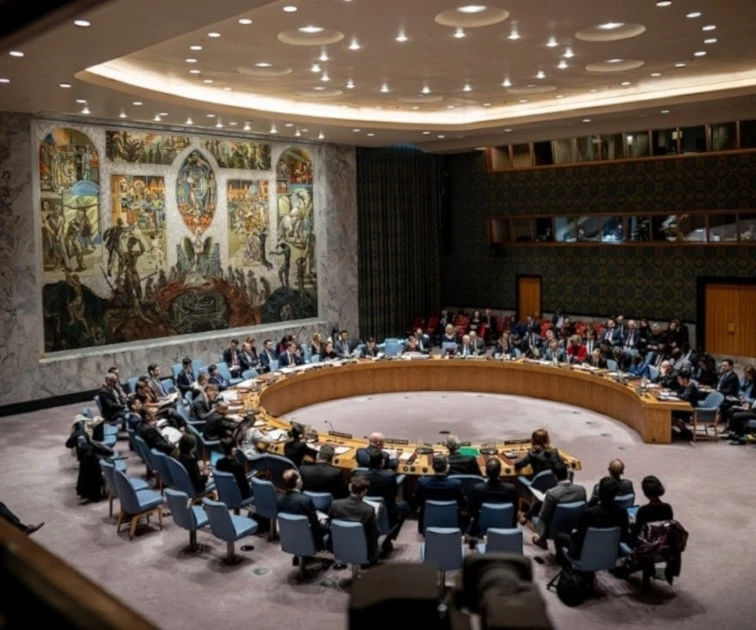 Consejo de Seguridad de la ONU.