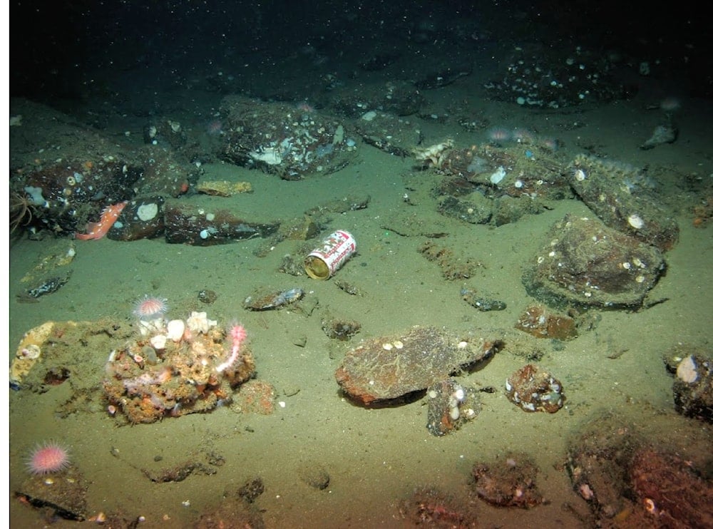 Spacex y Playa Bagdad: ¿Quién paga el daño ambiental?