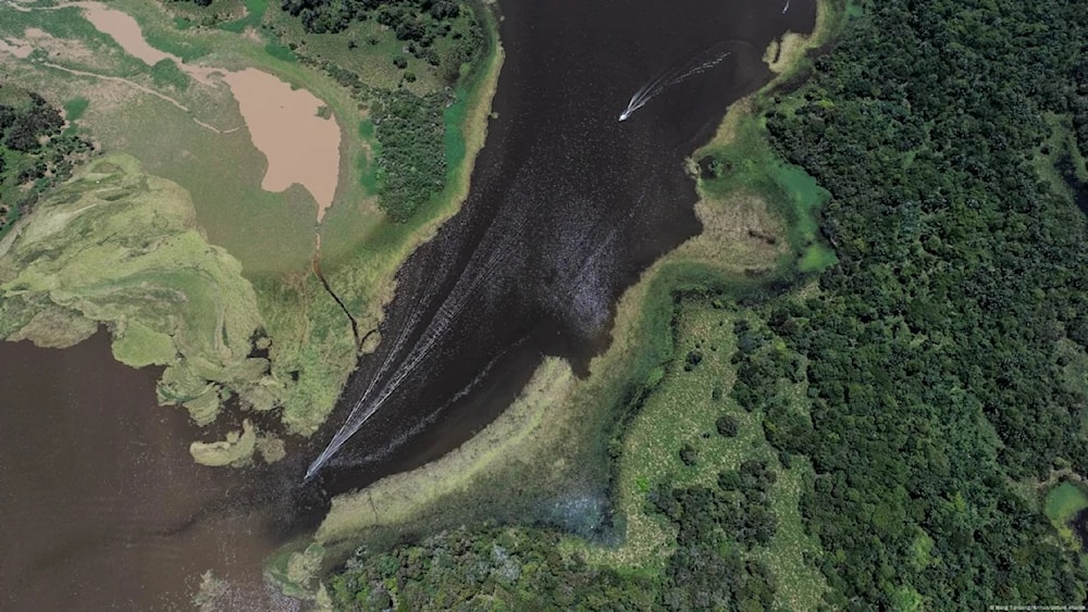 Amazonía de Brasil registra menor deforestación en 10 años. Foto: Xinhua. 