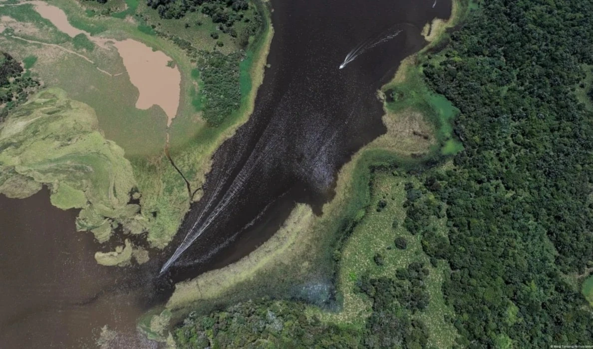 Amazonía de Brasil registra menor deforestación en 10 años. Foto: Xinhua.