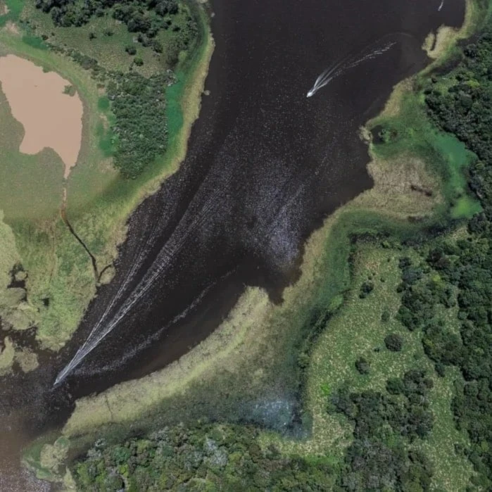 Amazonía de Brasil registra menor deforestación en 10 años. Foto: Xinhua.