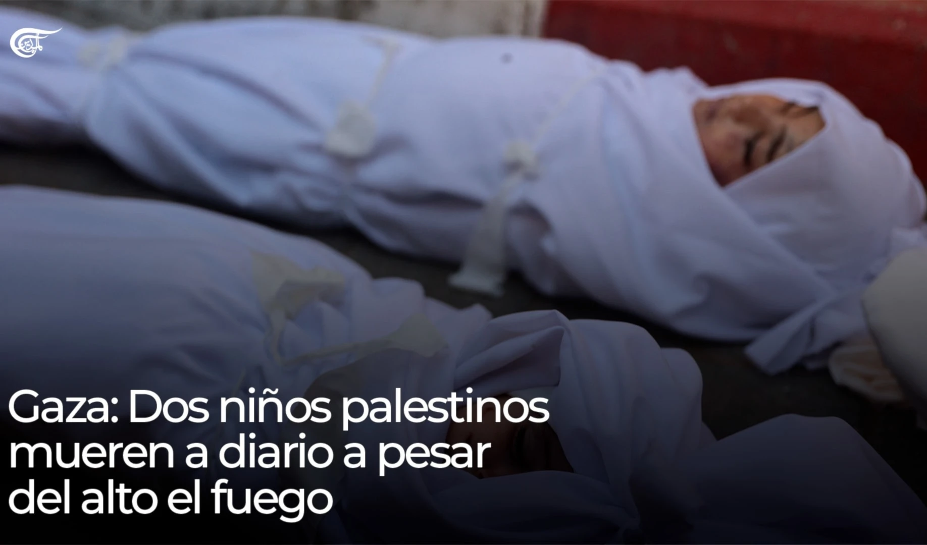 Gaza: Dos niños palestinos mueren a diario a pesar del alto el fuego