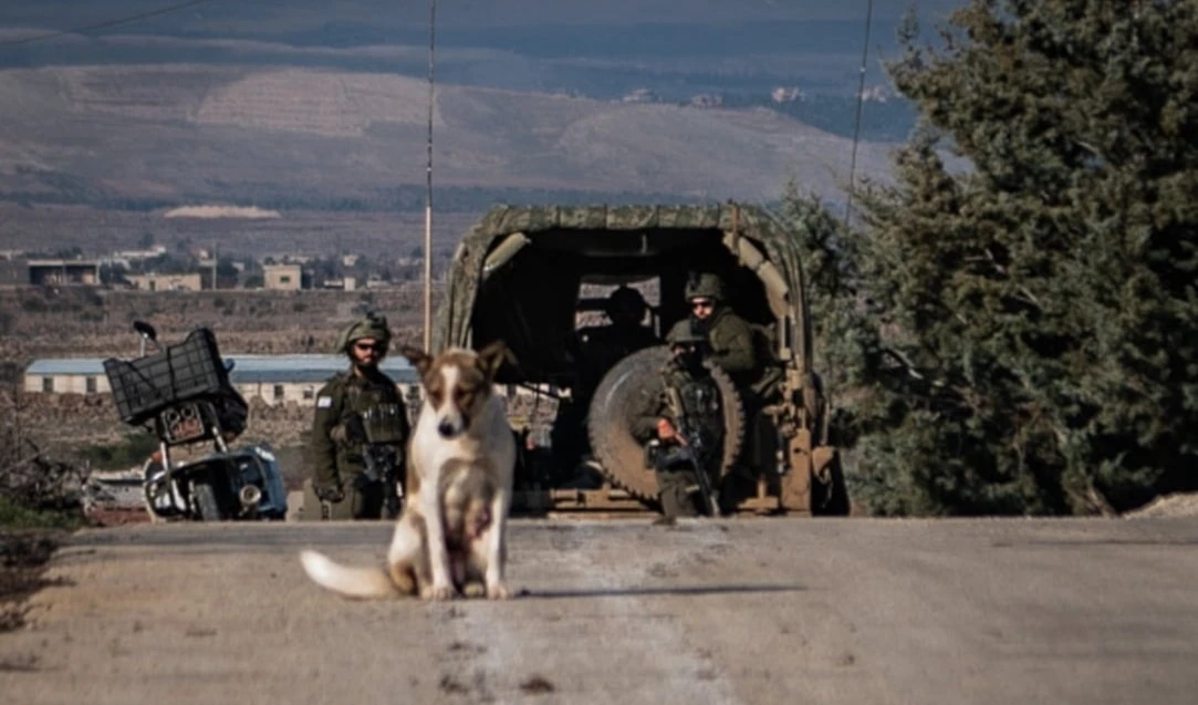 Nueva incursión israelí en la zona rural de Quneitra, según el Observatorio Sirio de Derechos Humanos