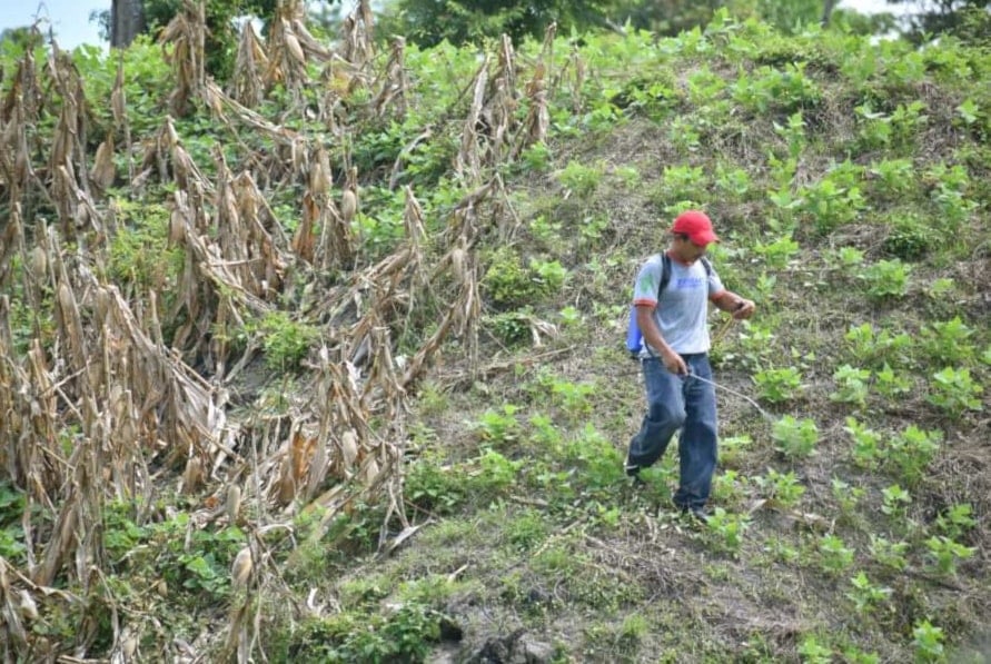 En venta los pulmones de El Salvador