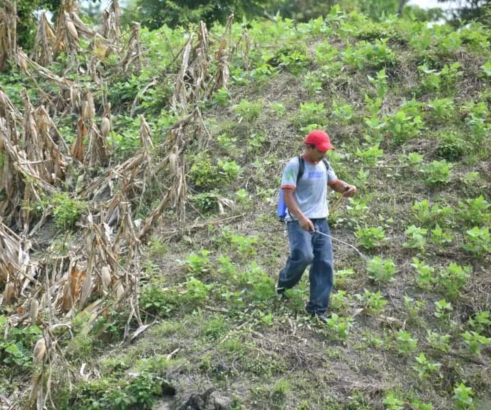 En venta los pulmones de El Salvador