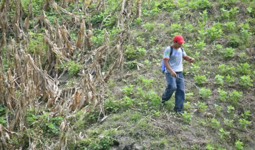 En venta los pulmones de El Salvador