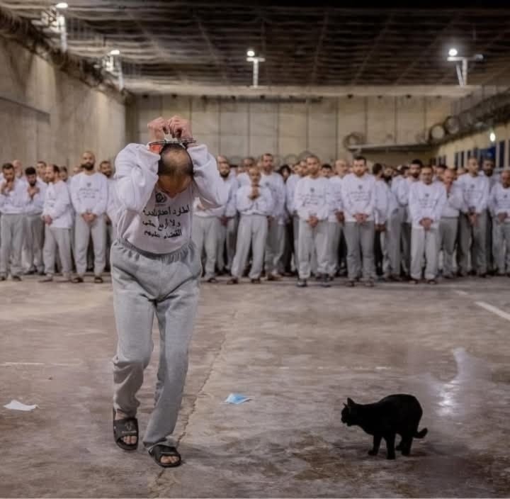 Imágenes que documentan las torturas y abusos que sufren los prisioneros palestinos en las cárceles israelíes. (Foto: Archivo) 