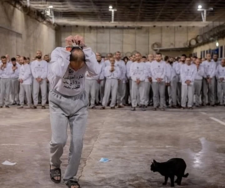 Imágenes que documentan las torturas y abusos que sufren los prisioneros palestinos en las cárceles israelíes. (Foto: Archivo)