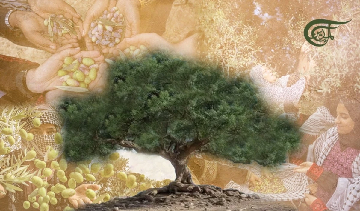 Si los olivos conocieran las manos de Palestina