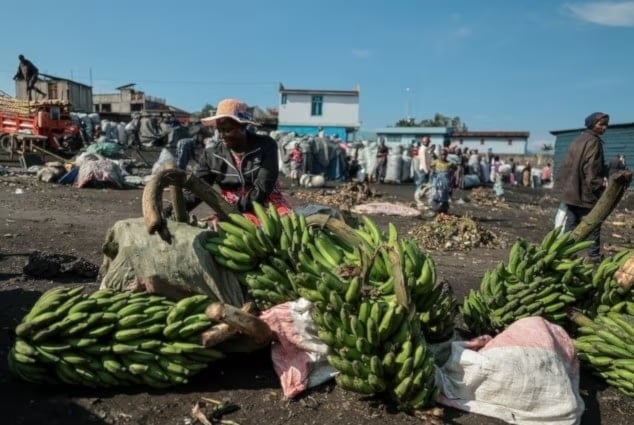 El PMA señaló que podría dejar de asistir a millones de personas desnutridas en el este del país debido a una crisis de financiación sin precedentes.