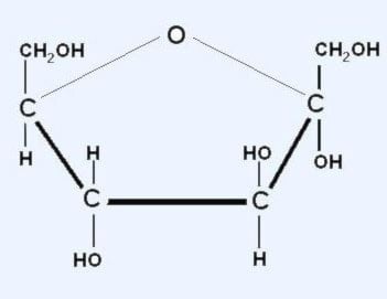 Fructuosa: guía para evitar azúcares añadidos