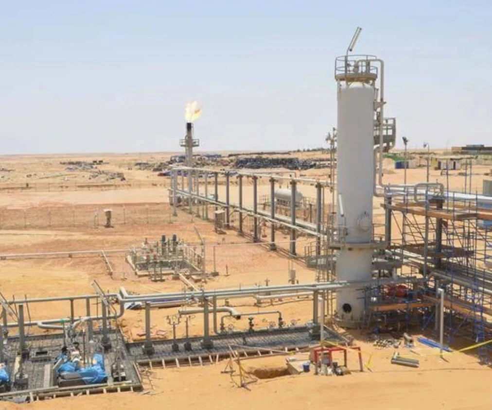 El nuevo hallazgo está ubicado en la zona de Badr-15 del Desierto Occidental.