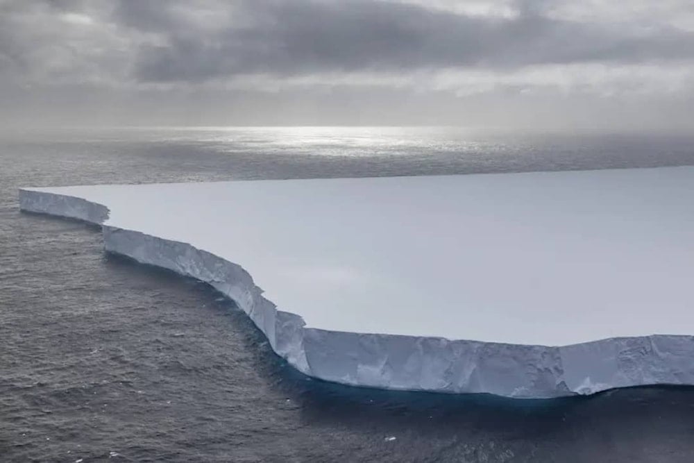 Enorme iceberg amenaza la vida marina en las islas Georgias del Sur