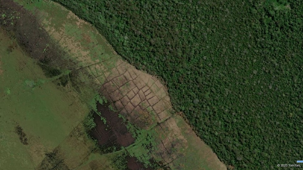 Obra de ingeniería impulsó transformación en la Amazonía precolombina. Foto: Umberto Lombardo