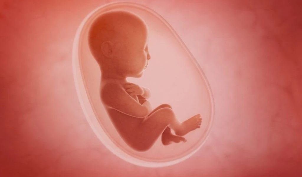 Reportan caso de "Fetus in Fetu" en bebé de la India