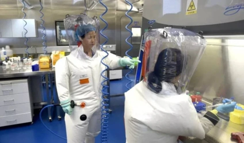 Investigadores descubrieron virus similar al causante de la Covid-19 Investigadores descubrieron virus similar al causante de la Covid-19