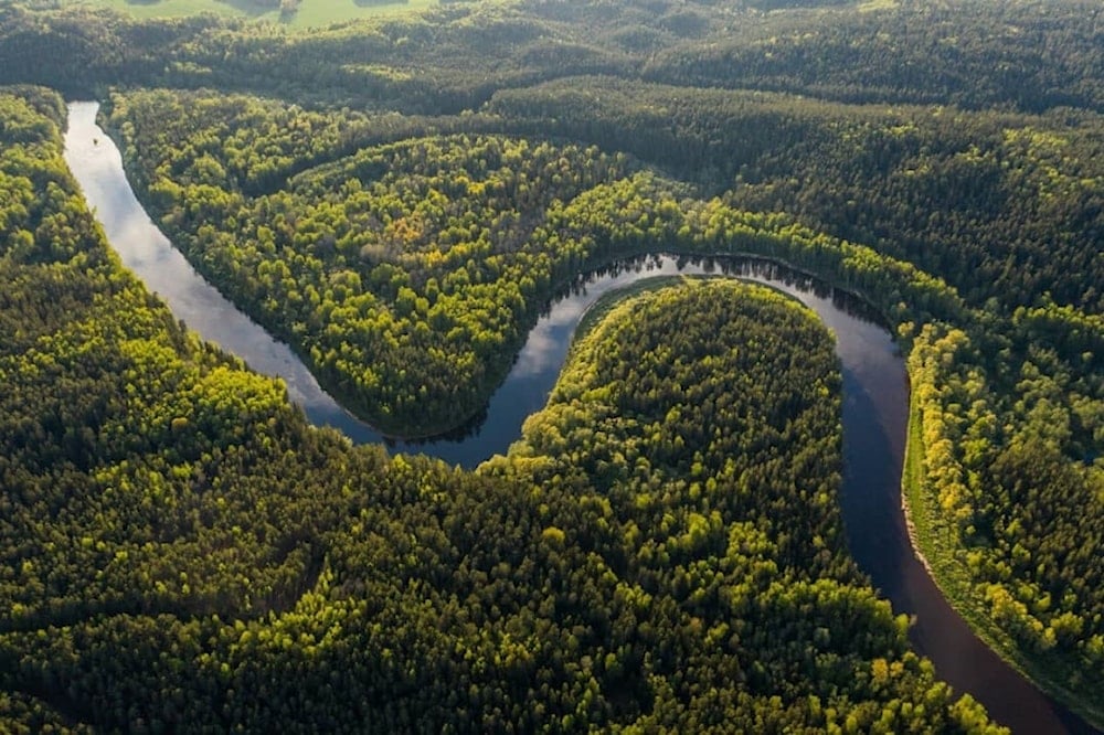 Microsoft invierte en el Amazonas: ¿compromiso o marketing?