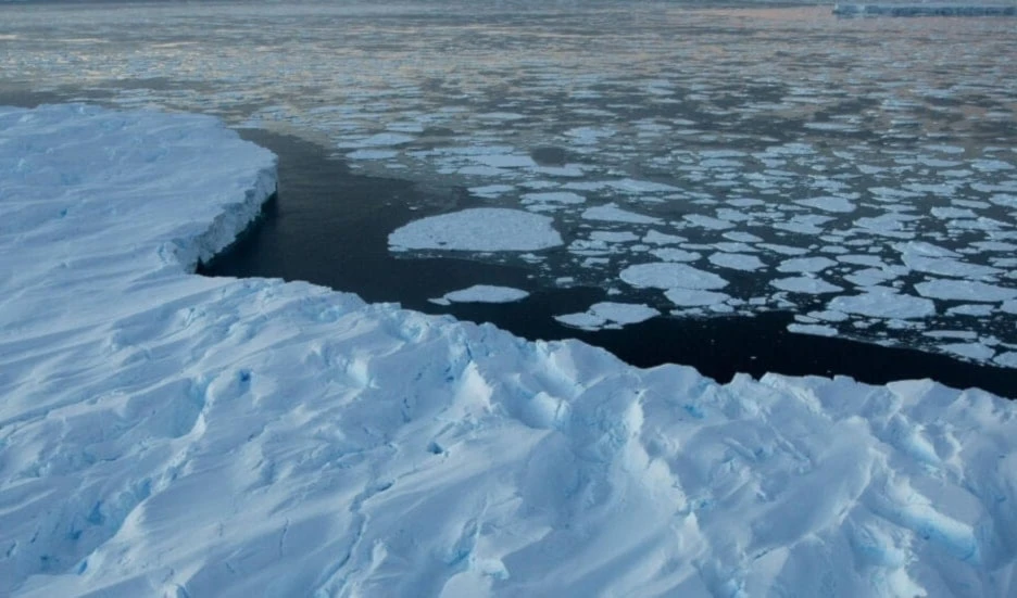 Cobertura de hielo marino mundial marcó record en febrero Cobertura de hielo marino mundial marcó record en febrero