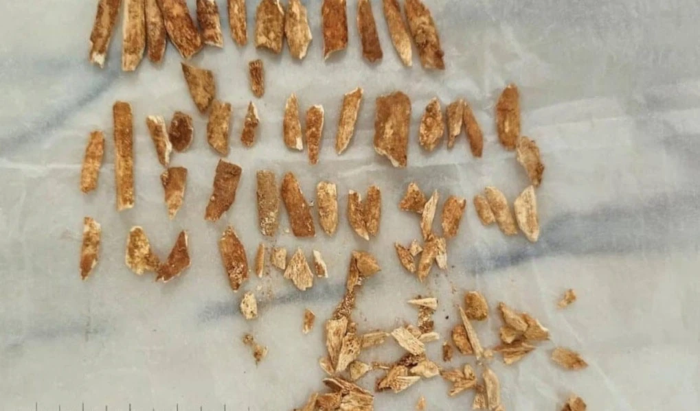 Resuelven el enigma del niño prehistórico de Portugal