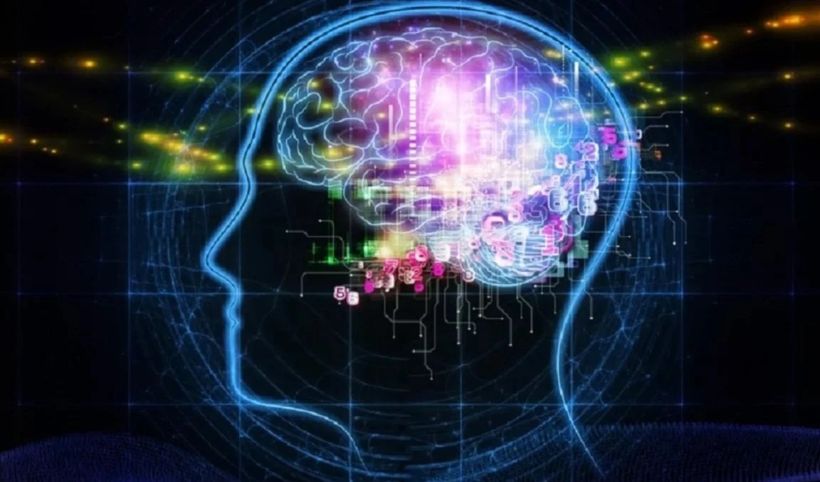 Estudio revela cambios cerebrales tras 72 horas sin usar el teléfono