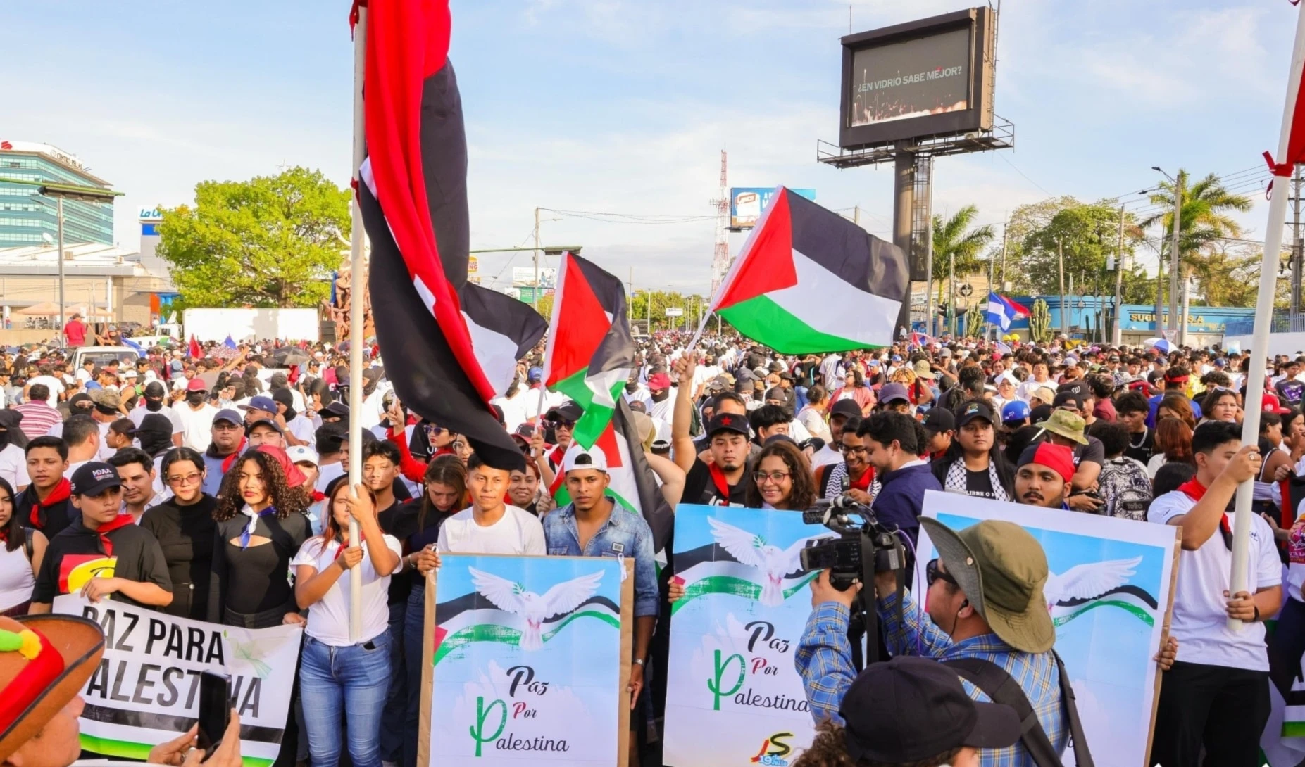 Nicaragua demandó el cese del genocidio israelí al pueblo palestino. (Foto: El 19 Digital)