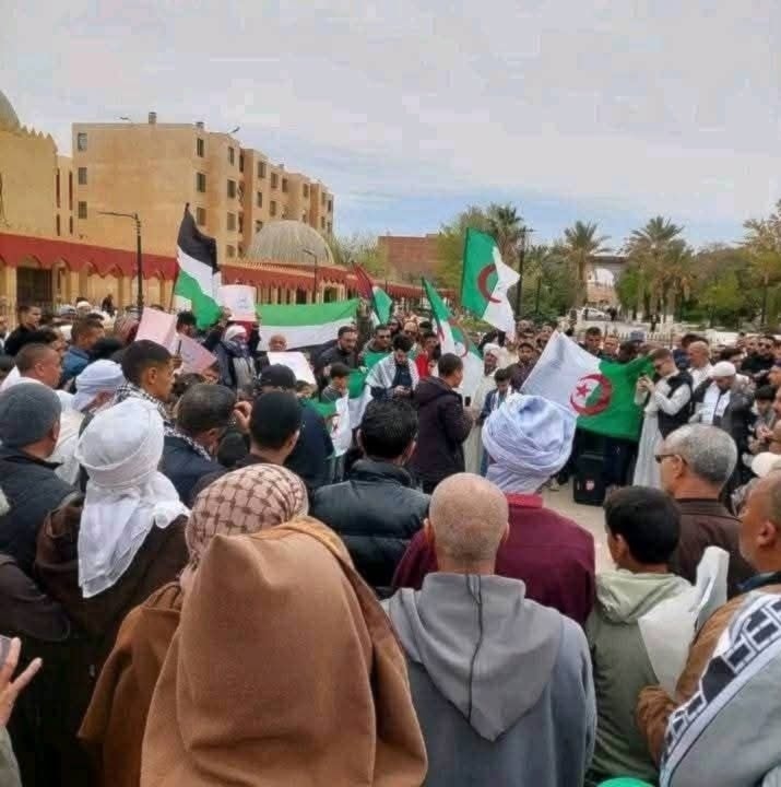 Manifestantes en la capital argelina denuncian los crímenes israelíes en Gaza.