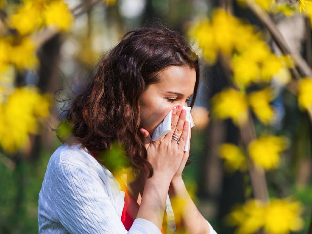 Alergias de primavera: ¿Cómo controlar los síntomas?