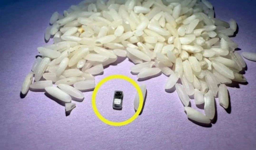 Desarrollan marcapasos para bebés del tamaño de un grano de arroz Desarrollan marcapasos para bebés del tamaño de un grano de arroz