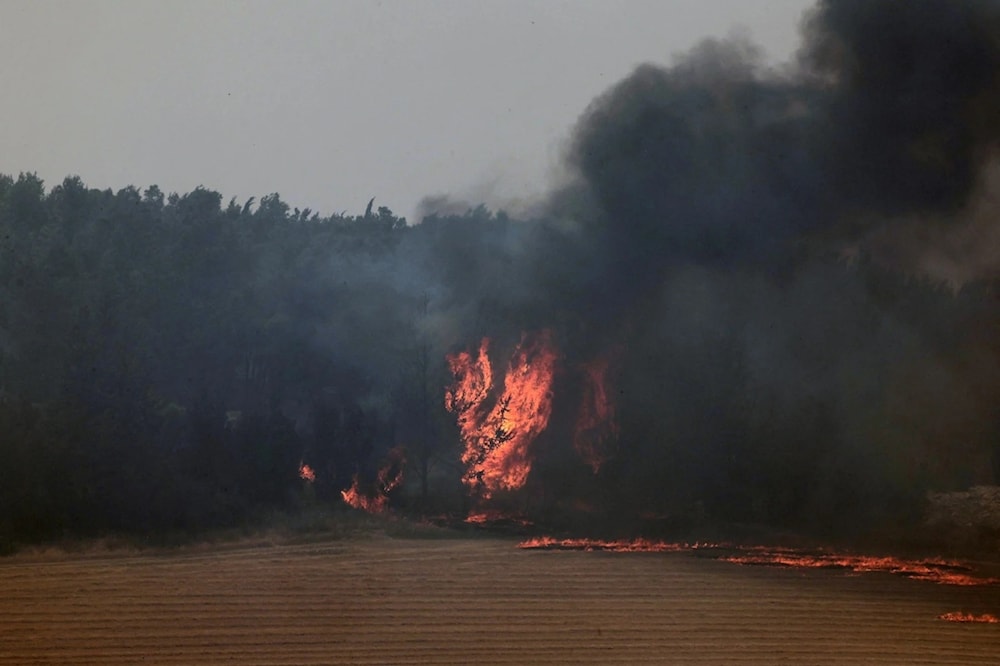 A pesar de los esfuerzos, el fuego destruyó casi por completo el parque Canadá y obligó al cierre de la autopista 1. (Foto: AFP)