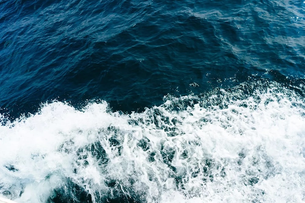 Los científicos calcularon que nos demoraríamos unos 100 mil años en visualizar todo el fondo marino. Foto: Unsplash. 