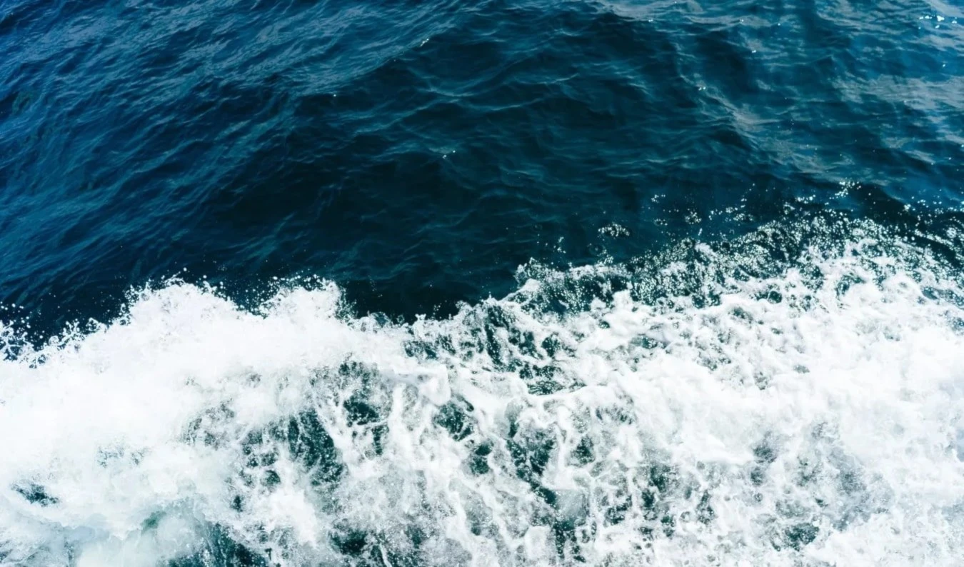 Los científicos calcularon que nos demoraríamos unos 100 mil años en visualizar todo el fondo marino. Foto: Unsplash.