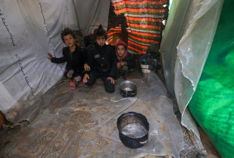 Hambruna en Gaza: ¿continuaremos mirando mientras Gaza muere de hambre?