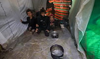 Hambruna en Gaza: ¿continuaremos mirando mientras Gaza muere de hambre?