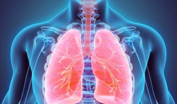 Nuevo estudio descubrió una disminución de la capacidad pulmonar a partir de la segunda década de vida. Foto: Tomada de La voz de Michoacán. Nuevo estudio descubrió una disminución de la capacidad pulmonar a partir de la segunda década de vida. Foto: Tomada de La voz de Michoacán.