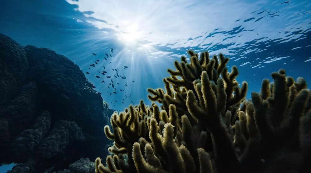 Océano. Foto; Unsplash. 