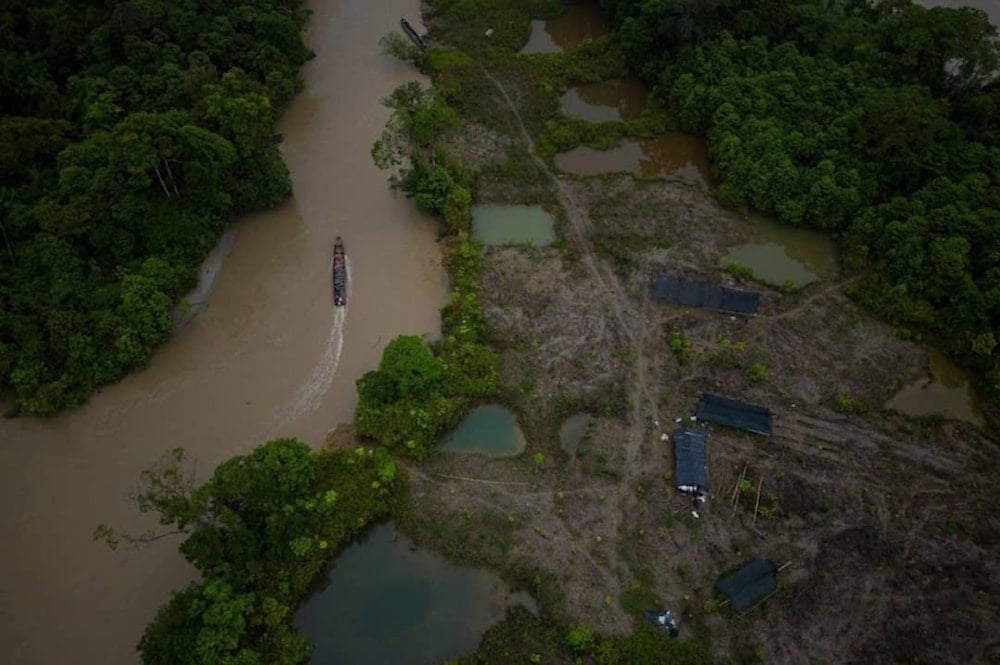 Colombia perdió más de 88 mil hectáreas de bosque en un semestre