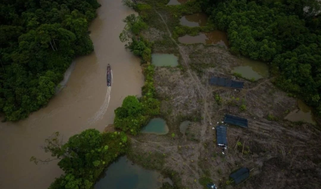 Colombia perdió más de 88 mil hectáreas de bosque en un semestre