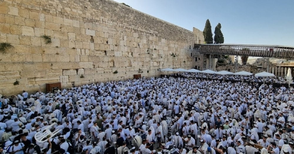Miles de colonos irrumpieron en Al-Aqsa para realizar rituales talmúdicos provocativos y desplegaron banderas en sus patios.  