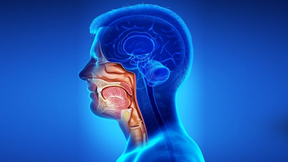 Demuestra eficacia de fármaco contra varios tipos de cáncer