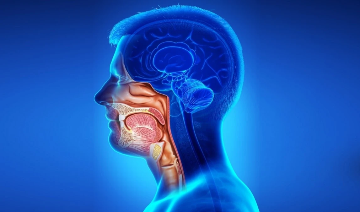 Demuestra eficacia de fármaco contra varios tipos de cáncer