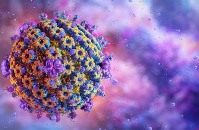 Virus del herpes labial 