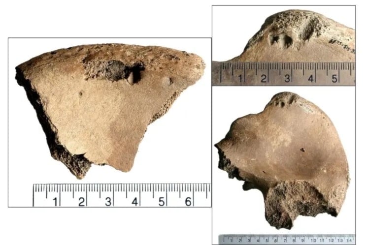 Marcas halladas en el hueso ilíaco izquierdo. Foto: Plos One,