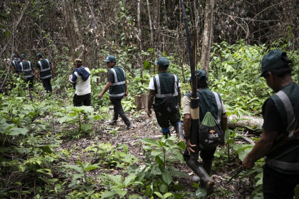 Guardia ambiental nativa: Protectores del Amazonas en Perú