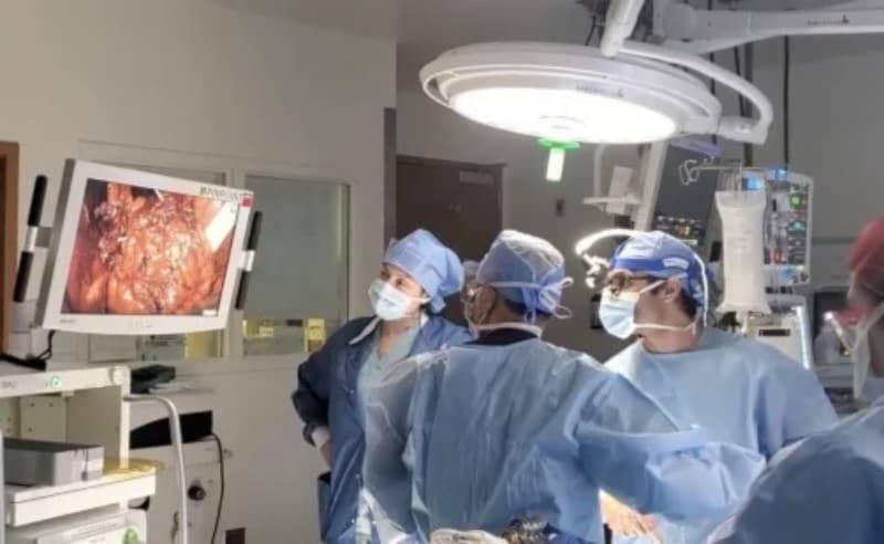 El equipo quirúrgico de la USC evalúa la integridad de una vejiga durante la etapa de investigación y desarrollo del trasplante. Foto: USC.