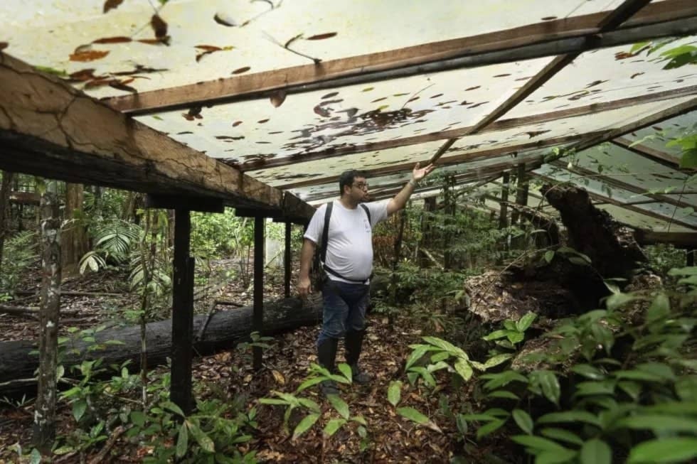 Meteorólogo muestra los paneles de plástico que simulan los efectos de una sequía, como parte del proyecto Esecaflor. Foto: AP.