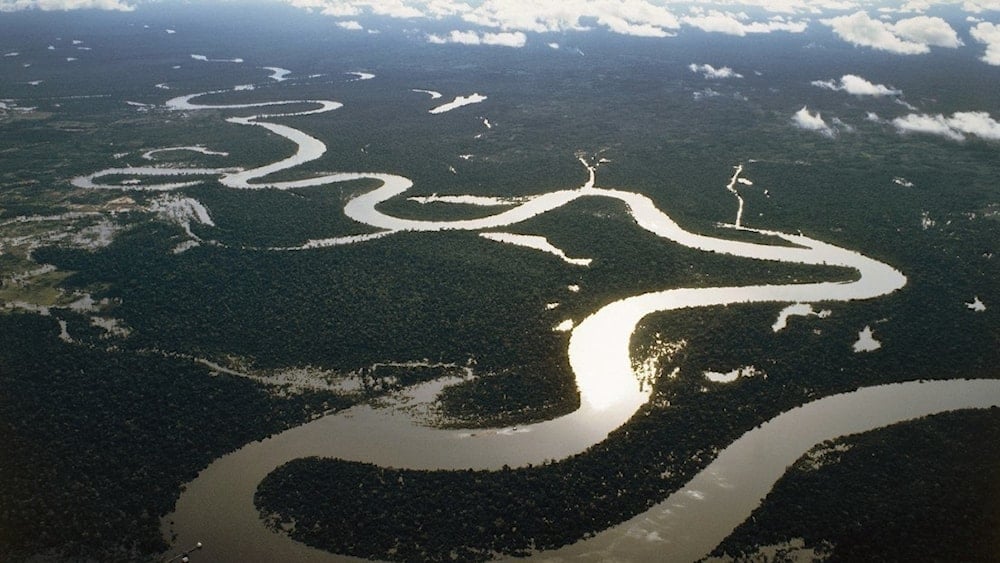 El Río Amazonas atraviesa la selva. Foto: Getty Images.