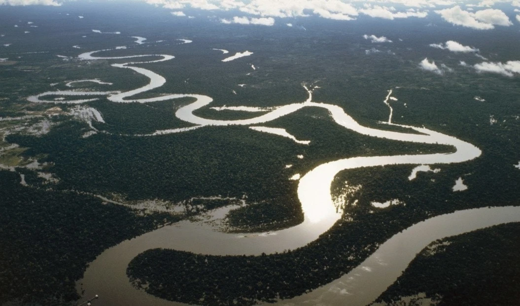 El Río Amazonas atraviesa la selva. Foto: Getty Images.