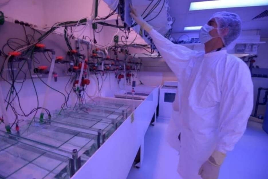 En los laboratorios del OIEA para el Medio Ambiente se realizan experimentos a diario. Foto: OIEA.