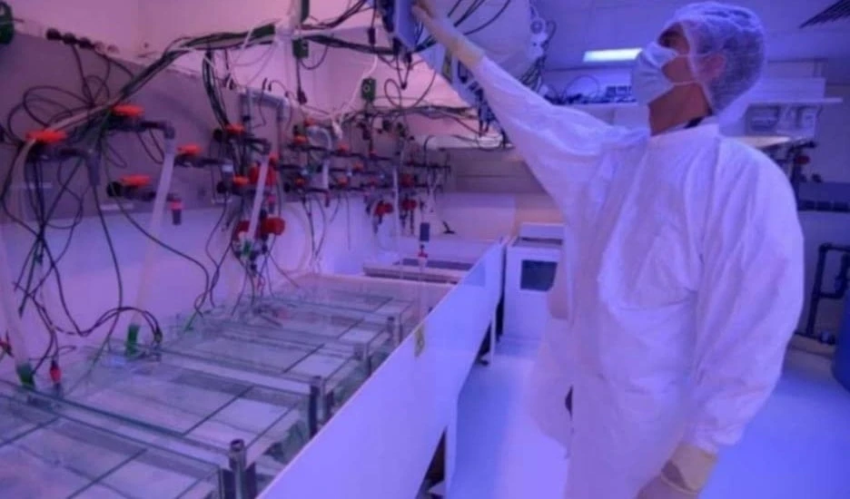 En los laboratorios del OIEA para el Medio Ambiente se realizan experimentos a diario. Foto: OIEA.